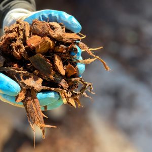 pine bark 25mm