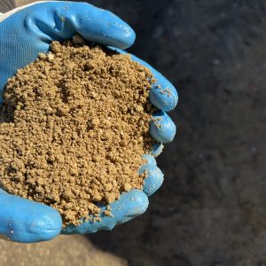 sydney sand