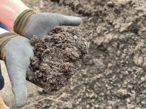 Organic Compost — existing website photograph