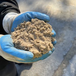 sydney sand