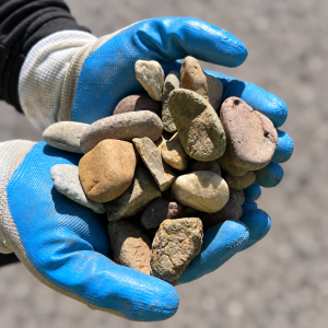 20-30mm River Pebble held in blue and white gloves