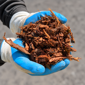 Budget Euci Mulch held in blue and white gloves