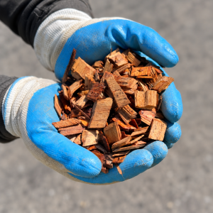 Cypress Fine Mulch vs Cypress Pine Woodchip Cypress Pine Woodchip held in blue and white gloves