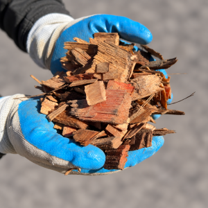 Hardwood Chip held in blue and white gloves