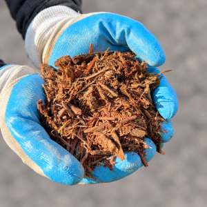 Eco Mulch held in blue and white gloves