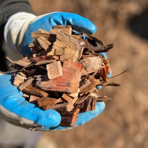 hardwood chip