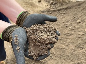 Top Dressing vs Turf Underlay 80/20 Turf Underlay held in gloved hands to show its texture