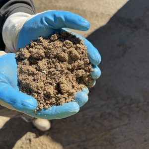 coarse washed sand