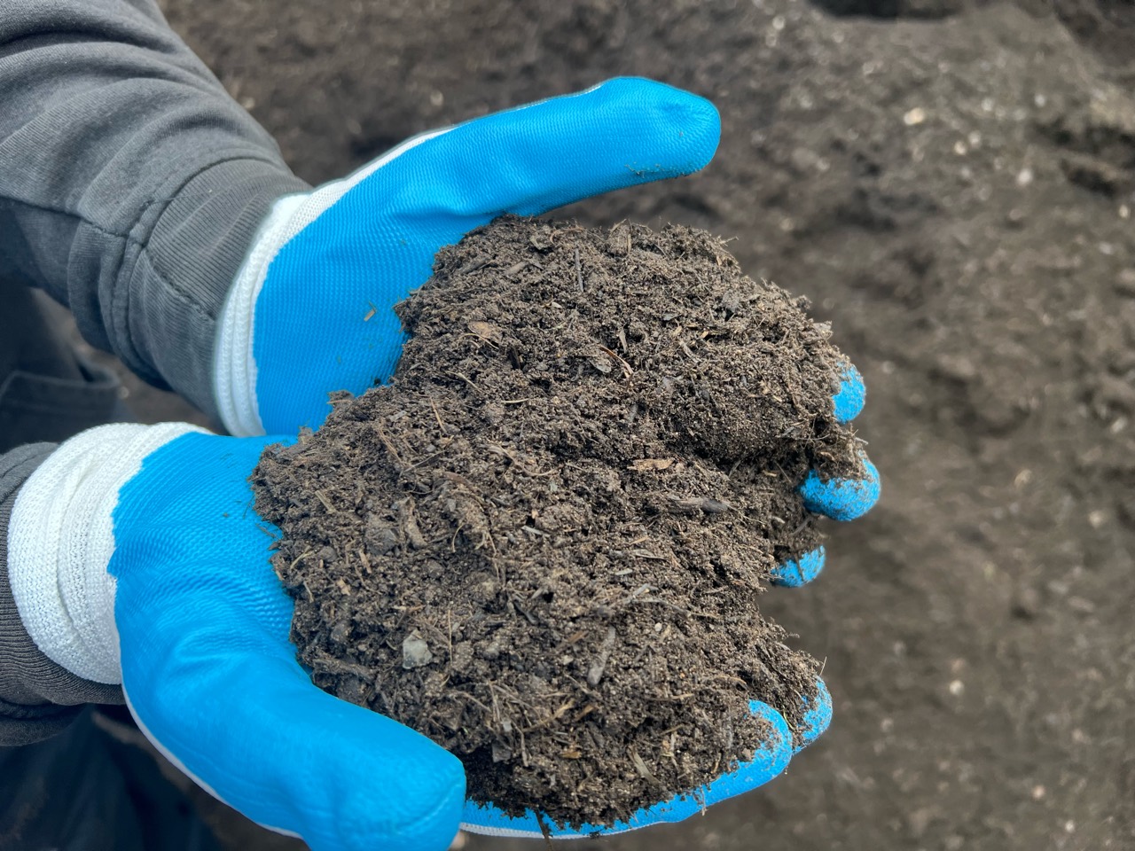 Super Grow Premium Garden Mix – gloved sample Super Grow Premium Garden Mix held in blue gloves, showing soil texture and organic pieces